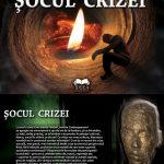 Șocul crizei (eBook)