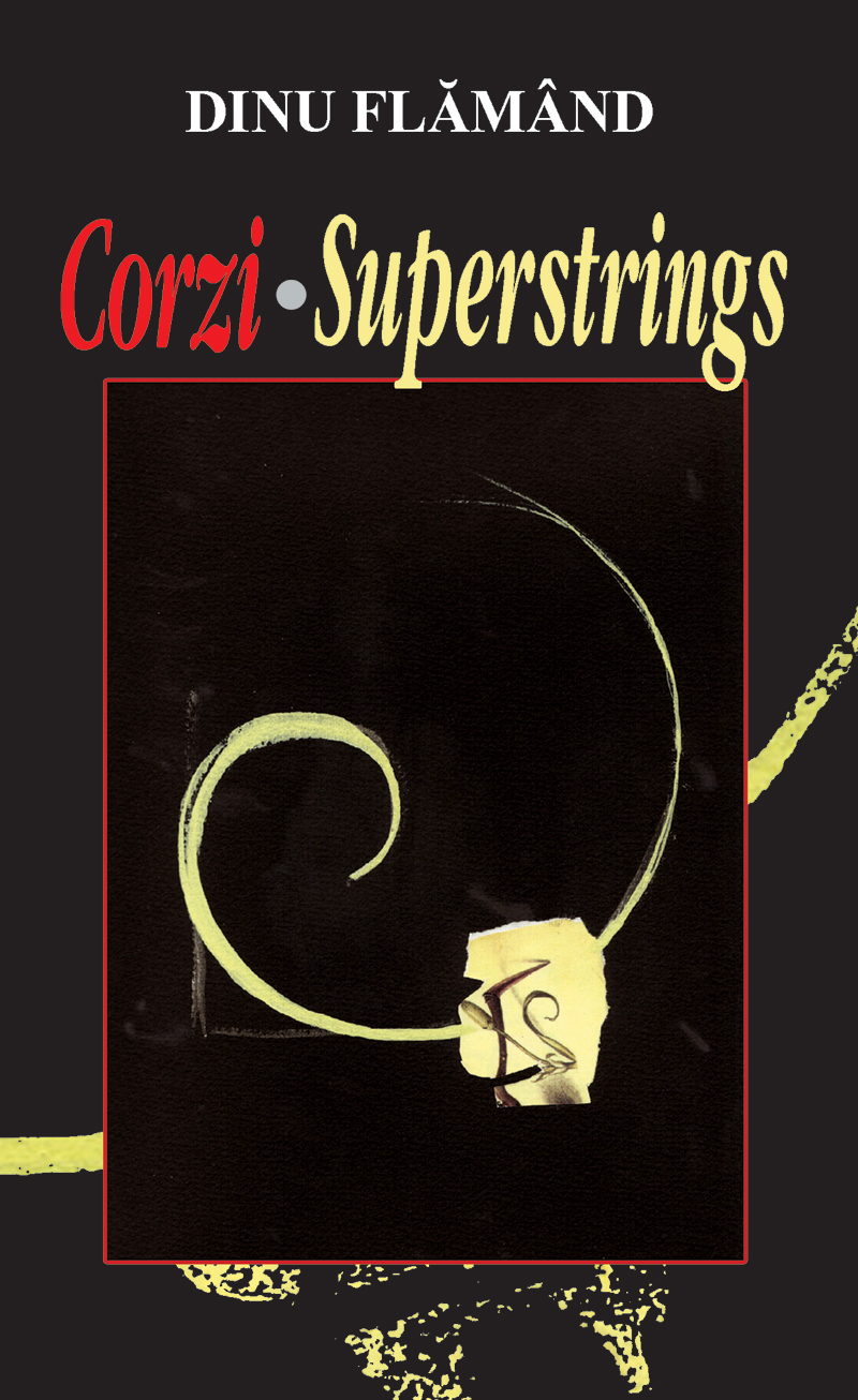 Image result for corzi/Superstrings, by Dinu Flamand